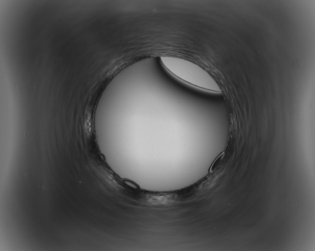 X0000086910479200704161013