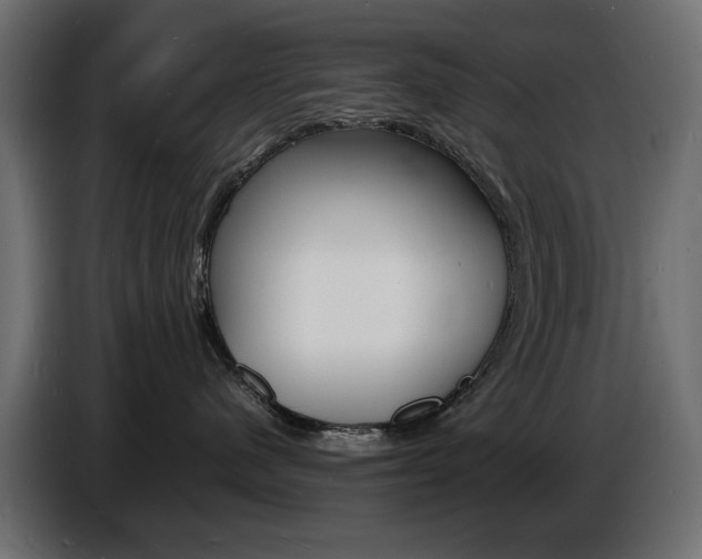 X0000086910480200704161013
