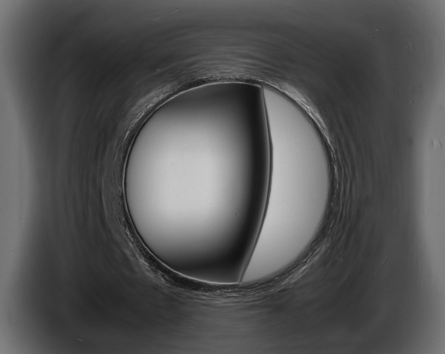 X0000086910481200704161012