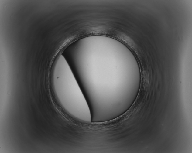 X0000086910482200704161012