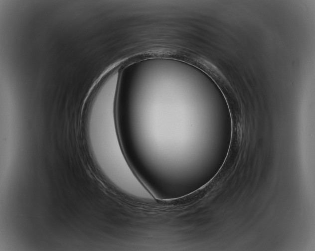 X0000086910484200704161012