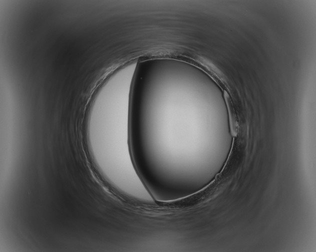 X0000086910485200704161012