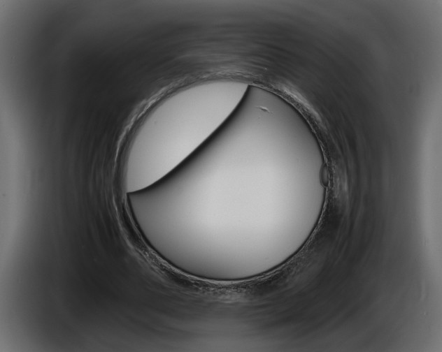 X0000086910486200704161012