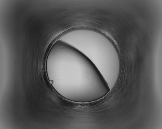 X0000086910487200704161012