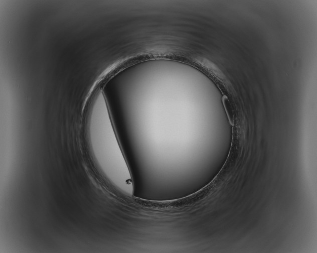 X0000086910488200704161012