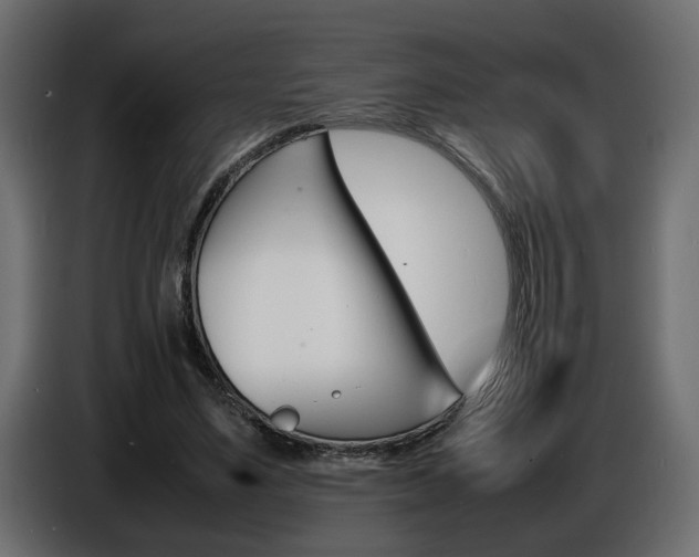 X0000086910491200704161012