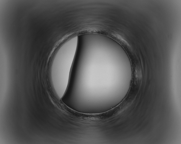X0000086910492200704161012