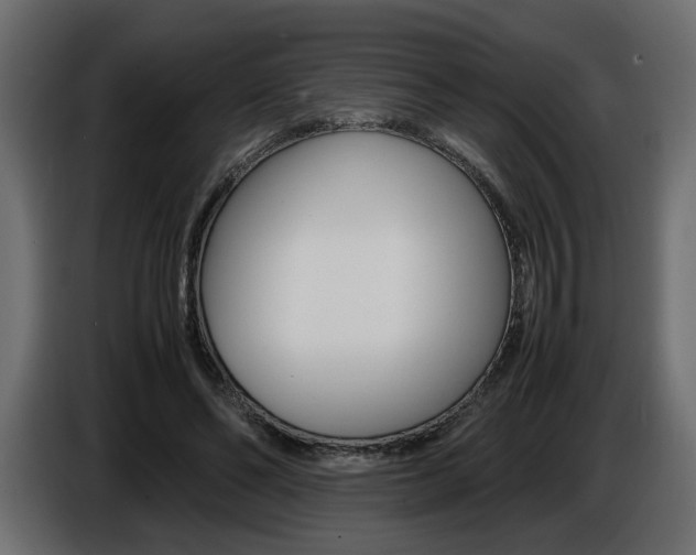 X0000086910494200704161012