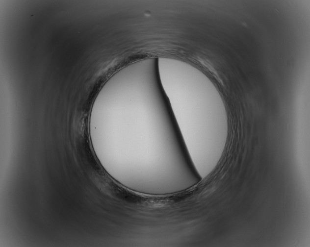 X0000086910495200704161012