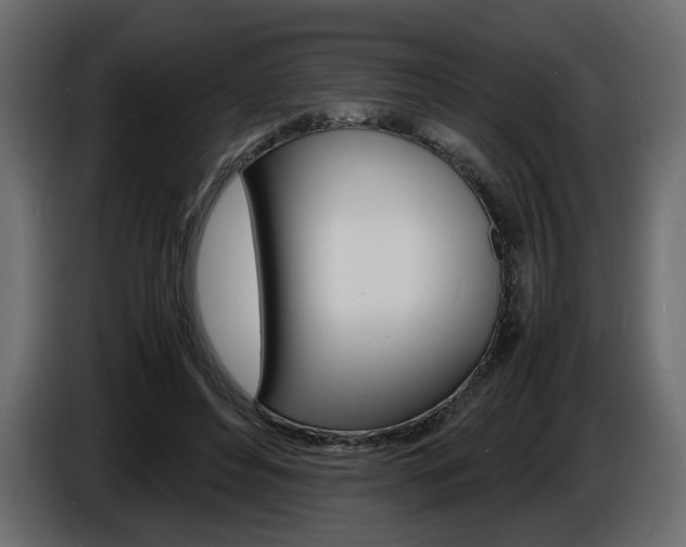 X0000086910496200704161012