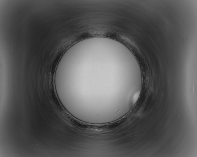 X0000086910498200704161012