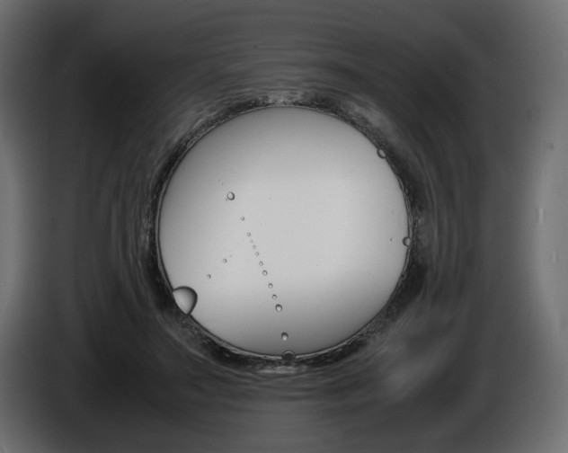 X0000086910499200704161012