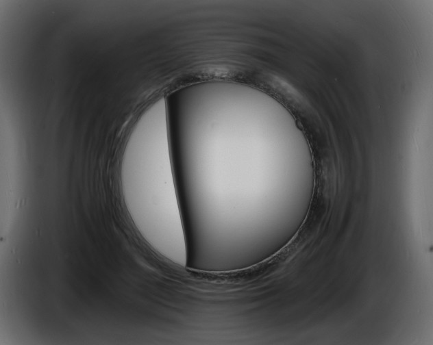X0000086910500200704161012