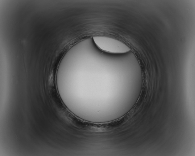 X0000086910502200704161012