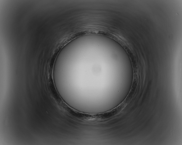 X0000086910504200704161012