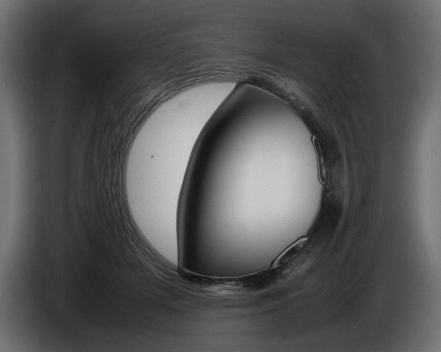 X0000086910505200704161012