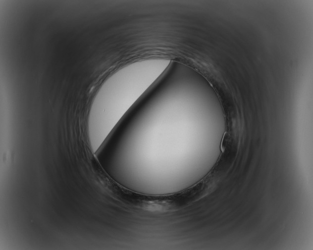 X0000086910508200704161012