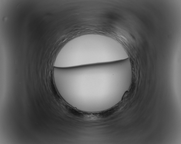 X0000086910511200704161012