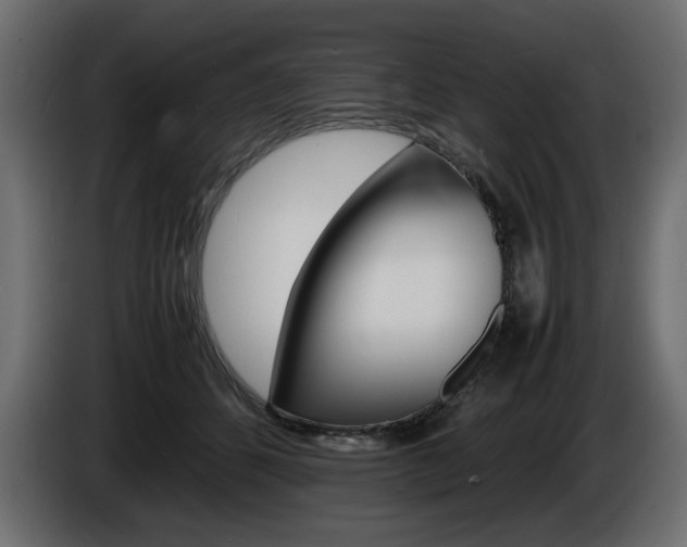 X0000086910512200704161012