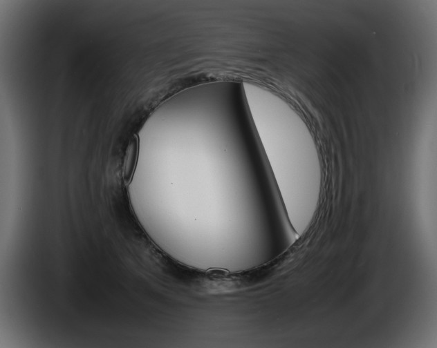 X0000086910513200704161012