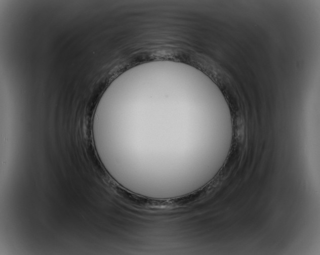 X0000086910514200704161012