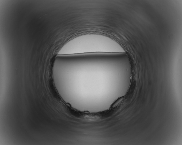 X0000086910515200704161012