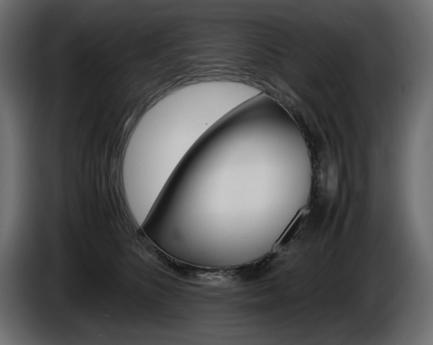 X0000086910516200704161012
