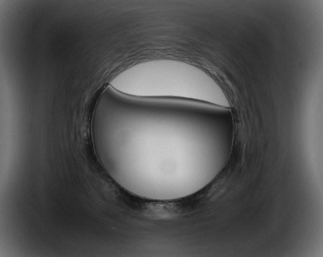X0000086910517200704161012