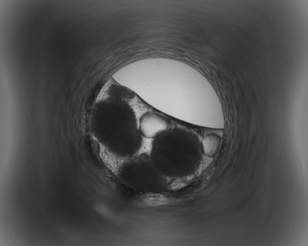 X0000086910519200704161012