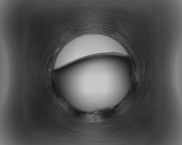 X0000086910520200704161012