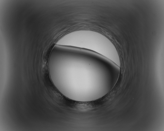 X0000086910521200704161012
