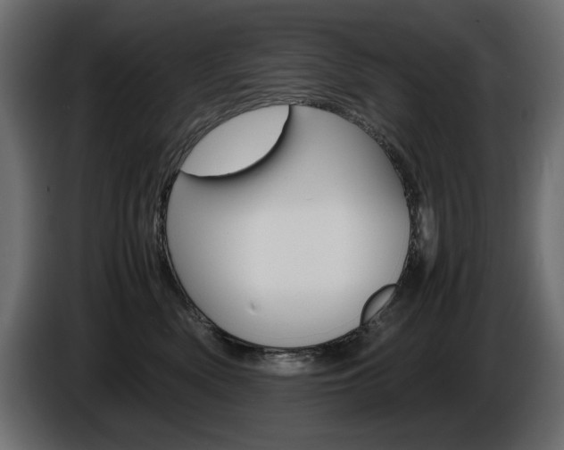 X0000086910522200704161012