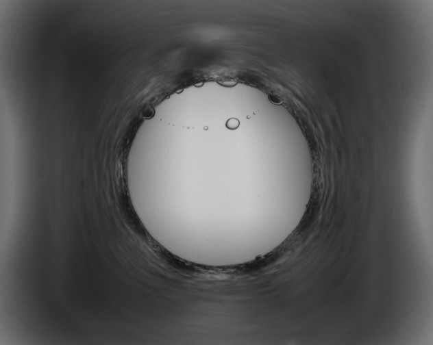 X0000086910523200704161012