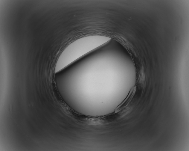 X0000086910524200704161012