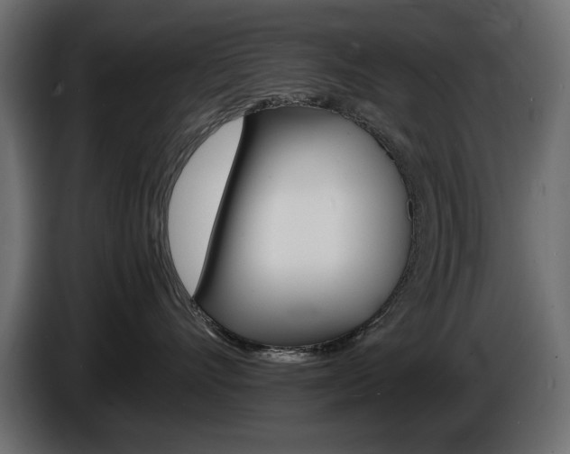 X0000086910528200704161012