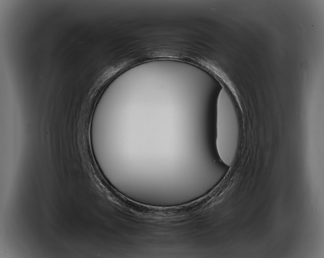 X0000086910529200704161011