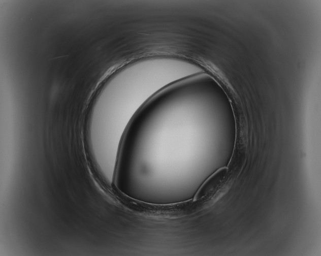 X0000086910530200704161011