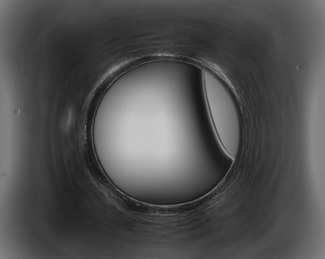 X0000086910531200704161011