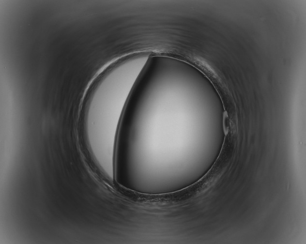 X0000086910532200704161011