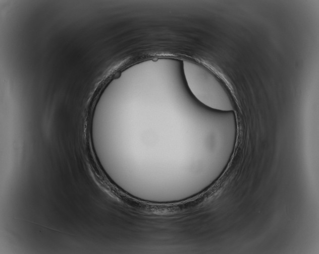 X0000086910533200704161011