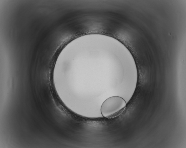 X0000086910534200704161011
