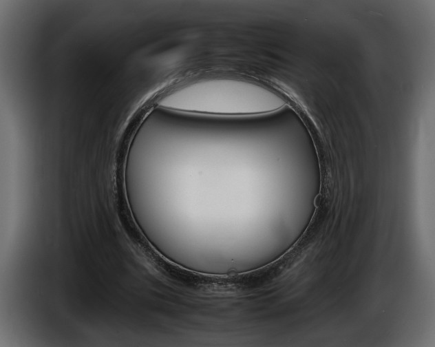 X0000086910535200704161011