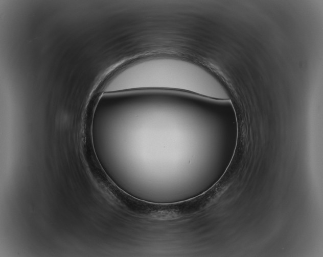 X0000086910536200704161011
