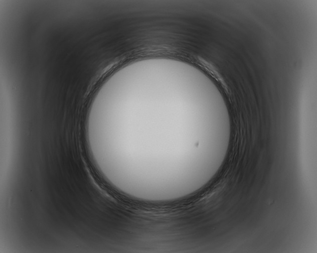 X0000086910538200704161011
