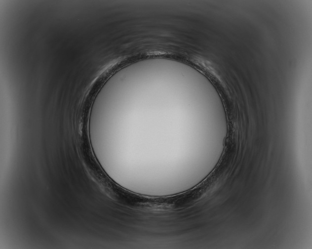 X0000086910539200704161011