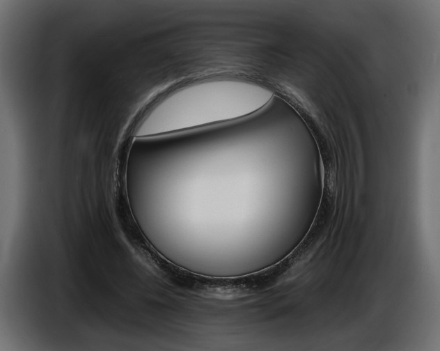 X0000086910540200704161011