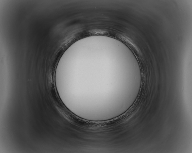 X0000086910541200704161011