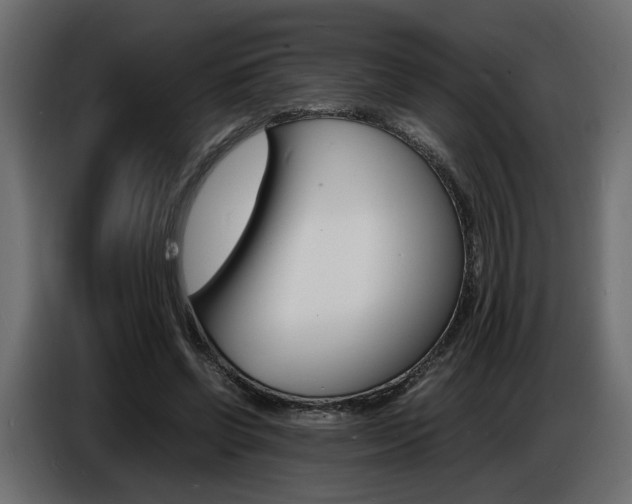 X0000086910542200704161011