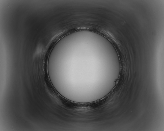 X0000086910543200704161011