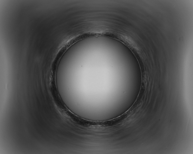 X0000086910544200704161011